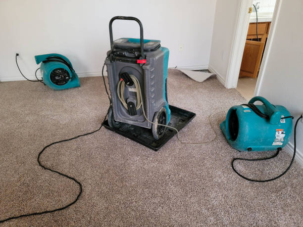 Best Flooded house restoration  in Toast, NC