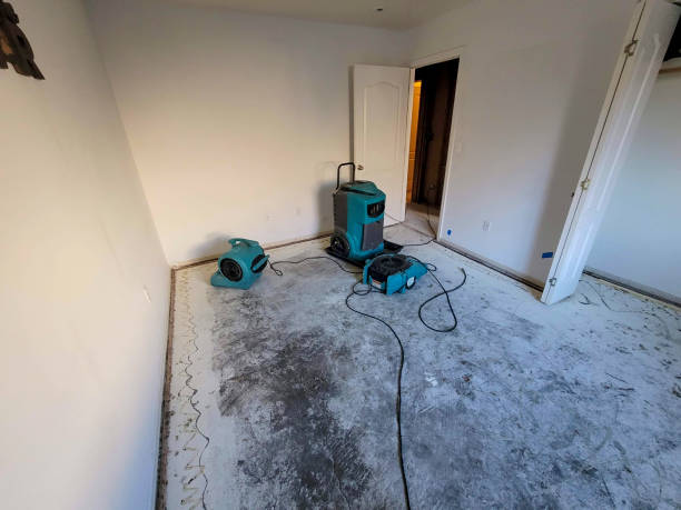 Best Residential water damage restoration  in Toast, NC