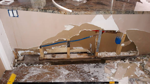 Best Water damage repair service  in Toast, NC
