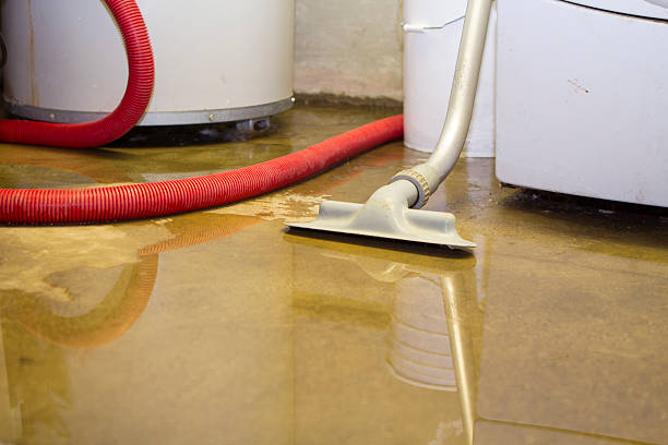 Best Sewage cleanup and water damage restoration  in Toast, NC